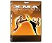 XMA - Xtreme Martial Arts