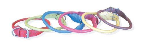 20 Blue rolled snake print leather dog collar