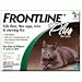 Frontline Plus 12pk Cats Kittens