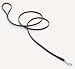 C Lth Latigo Lead 1/2x6ft