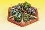 Dollhouse Miniature Painred Resin Herb Garden