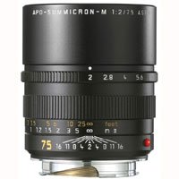 APO-Summicron-M 75mm f/2 Aspherical Lens