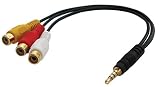 Lindy - Video / audio adapter - composite video / audio - RCA (F) - mini-phone 3.5 mm 4-pole (M) - 10 in