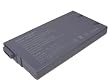 TechPower Premium Battery for Sony VAIO PCG-713/32 Laptop