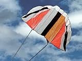 : #NEU Lenkmatte "Delta" 125x80 Kite Lenkdrache, Zweileiner
