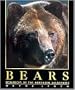 Bears: Monarchs of the Northern Wilderness