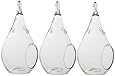 Best Value! Hanging Terrarium 3 Pack! Small 5.5" Glass Hanging Teardrop Plant Terrariums from Glass Home Gardens