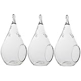 Best Value! Hanging Terrarium 3 Pack! Small 5.5" Glass Hanging Teardrop Plant Terrariums from Glass Home Gardens