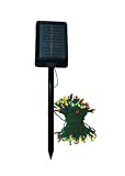 Mr. Light Solar 77 foot 200 LED Multicolor Multi Function String Lights