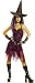 Goth Rockin Witch Adult Costume