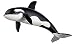 Schleich Killer Whale