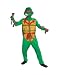 Search : TMNT Teenage Mutant Ninja Turtles Raphael TM Quality Child Costume