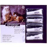 Advantage Flea Treatment for Cats 10+ lbs. (12 Month Pack) (12 month pack (two 6-dose packs))