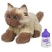   - FurReal Kitten: Burmese