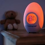 Egg Nursery Thermometer