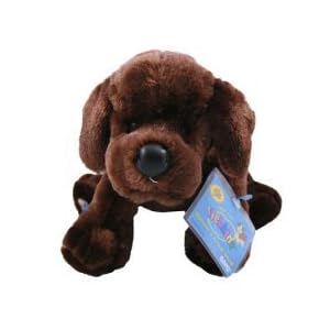 Webkinz Chocolate Lab with Trading Cards by