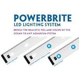 POWERBRITE LED STRIP 4X1W 10000K POWER LED'S ~ Current USA