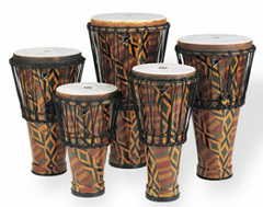Ashiko  Remo Signature Series 10x24