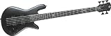 Spector Mike Kroeger Legend 5 Custom Bass Guitar (5 String, Slate Grey)