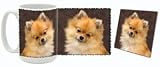 Pomeranian Mug and Coaster Combo (Style 2)