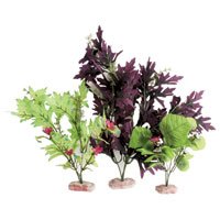 Amazon Board Leaf Flowering Cluster – Multi Pack – 7 in. up to 14 in.