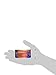 Natural Balance Wild Pursuit Beef, Buffalo & Venison Formula Wet Cat Food, 6-Ounce Can (Pack of 24)