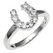Horse Shoe Lucky Charm Ring