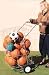 Sporting Goods : Indoor/Outdoor Ball Locker