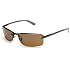 Ray-Ban 3217P Metal Polarized S