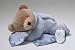 Silkie Slumber Bear in Ice Blue