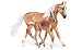 Breyer