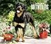 image 0 - For the Love of Rottweilers 2010 Deluxe Wall