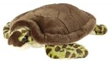 Signature Series: Small Sea Turtle