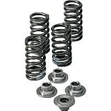 99-08 HONDA TRX400EX: KIBBLEWHITE VALVE SPRING KIT (SILVER) by Kibblewhite
