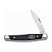 Buck Solitaire ComfortCraft Charcoal Dymondwood Hunting Knife