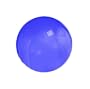 Hugger Mugger Purple 65cm Yoga Exercise Ball (Purple)