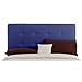 Double Button Tufted Headboard in Lazuli Size: Full