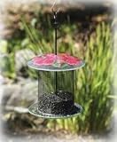 Bird Brain NinArt Glass and Mesh Geranium Bird Feeder