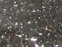 Premium Grade Black Tapioca Pearls (6.6 lb) [Bubble Tea]