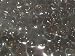 Premium Grade Black Tapioca Pearls (6.6 lb) [Bubble Tea]