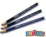 DIXON TICONDEROGA PEEL OFF CHARCOAL PENCIL PACK OF 12SOLD AS A DOZEN
