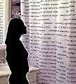 Top 100 SAT Vocabulary Word Shower Curtain