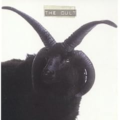 The Cult