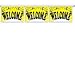 Welcome String Pennants