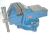 4 Bench Vise - LD