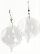 Earrings: Stingray