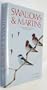 Swallows & Martins: An Identification Guide and Handbook