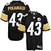 Troy Polamalu Pittsburgh Steelers NFL Youth Reebok Premier Jersey