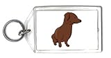 Keychain with smooth, dog, daschund, haired, pet, animal