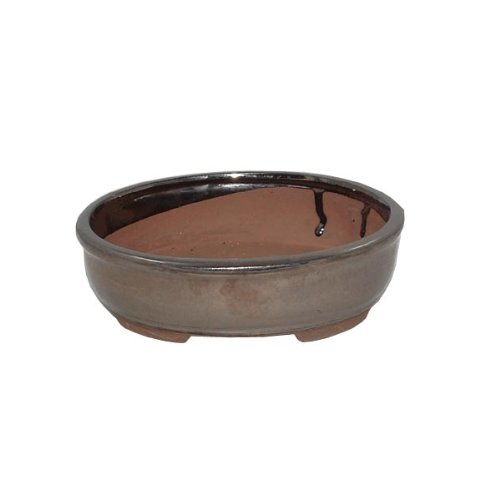 20cm Glazed Oval Bonsai Pot - Metallic Finish